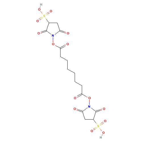 82436-77-9 BS3 chemical structure