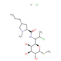 21462-39-5 Clindamycin hydrochloride chemical structure