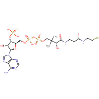 85-61-0 Coenzyme A chemical structure