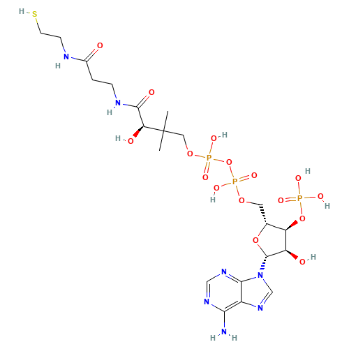 85-61-0 Coenzyme A chemical structure