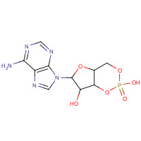 60-92-4 Cyclic AMP chemical structure