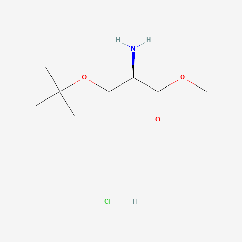78537-14-1 O-tert-Butyl-D-serine methyl ester hydrochloride chemical structure