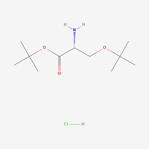 179559-35-4 H-D-SER(TBU)-OTBU HCL chemical structure