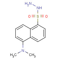33008-06-9 DANSYL HYDRAZINE chemical structure