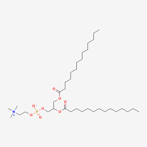 18656-38-7 1,2-DIMYRISTOYL-RAC-GLYCERO-3-PHOSPHOCHOLINE chemical structure