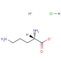 16682-12-5 D-Ornithine monohydrochloride chemical structure