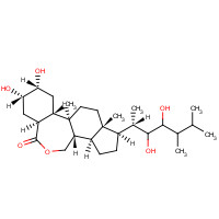 78821-43-9 Epibrassinolide chemical structure