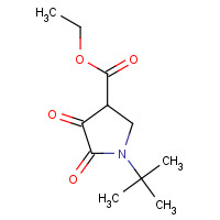 5336-48-1 ETHYL 1-(TERT-BUTYL)-4,5-DIOXOPYRROLIDINE-3-CARBOXYLATE chemical structure