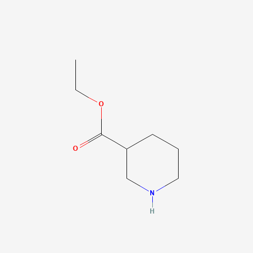 5006-62-2 Ethyl nipecotate chemical structure
