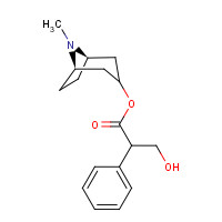 101-31-5 L-Hyoscyamine chemical structure