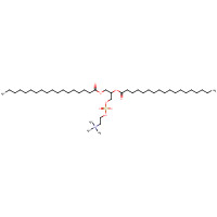 816-94-4 L-ALPHA-PHOSPHATIDYLCHOLINE,DISTEAROYL chemical structure