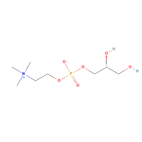 28319-77-9 Choline glycerophosphate chemical structure