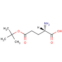 2419-56-9 L-Glutamic acid 5-tert-butyl ester chemical structure