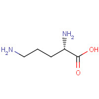 70-26-8 L-Ornithine chemical structure