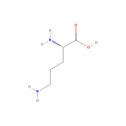70-26-8 L-Ornithine chemical structure