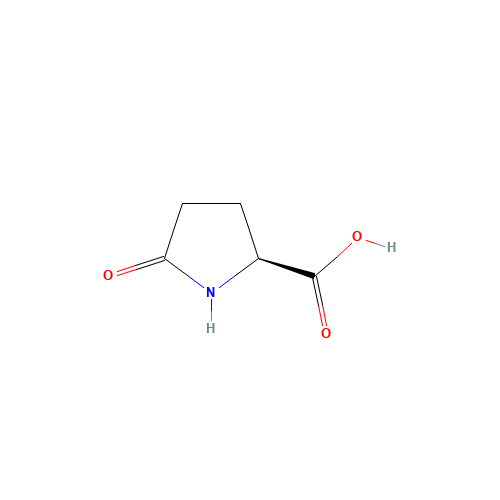 98-79-3 L-Pyroglutamic acid chemical structure