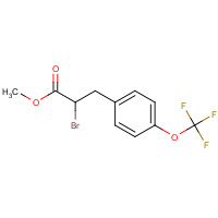 175203-81-3 METHYL 2-BROMO-3-[4-(TRIFLUOROMETHOXY)PHENYL]-PROPIONATE chemical structure