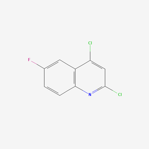 406204-74-8 2,4-Dichloro-6-fluoroquinoline chemical structure