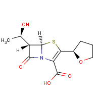106560-14-9 Faropenem sodium hemipentahydrate chemical structure