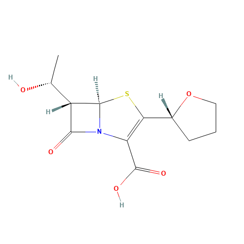106560-14-9 Faropenem sodium hemipentahydrate chemical structure