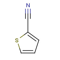 1003-31-2 2-Thiophenecarbonitrile chemical structure