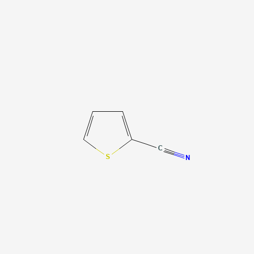 1003-31-2 2-Thiophenecarbonitrile chemical structure