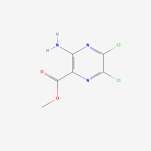 1458-18-0 METHYL 3-AMINO-5,6-DICHLORO-2-PYRAZINECARBOXYLATE chemical structure