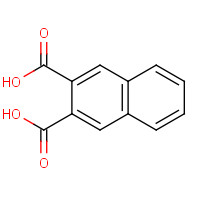 2169-87-1 2,3-NAPHTHALENEDICARBOXYLIC ACID chemical structure