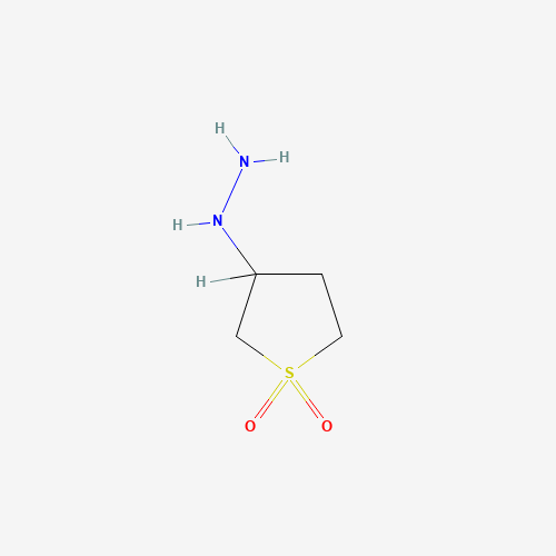 3448-12-2 (1,1-DIOXIDOTETRAHYDROTHIEN-3-YL)HYDRAZINE chemical structure