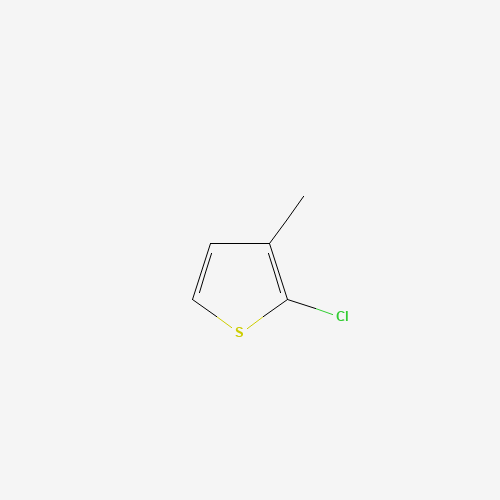 14345-97-2 2-Chloro-3-methylthiophene chemical structure