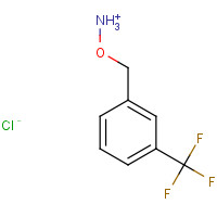 15256-07-2 1-[(AMMONIOOXY)METHYL]-3-(TRIFLUOROMETHYL)BENZENE CHLORIDE chemical structure