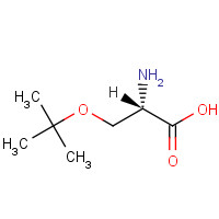 18822-58-7 H-SER(TBU)-OH chemical structure