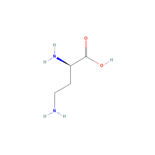 26908-94-1 D-2,4-Diaminobutyric acid chemical structure