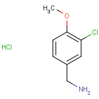 41965-95-1 3-CHLORO-4-METHOXYBENZYLAMINE HYDROCHLORIDE chemical structure