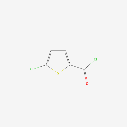 42518-98-9 5-CHLOROTHIOPHENE-2-CARBONYL CHLORIDE chemical structure