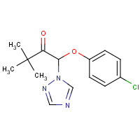 43121-43-3 Triadimefon chemical structure