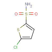 53595-66-7 5-Chlorothiophene-2-sulfonamide chemical structure