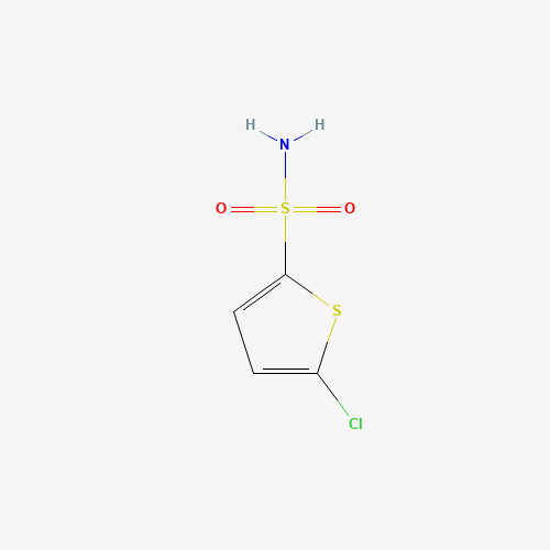 53595-66-7 5-Chlorothiophene-2-sulfonamide chemical structure