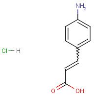 54057-95-3 4-AMINOCINNAMIC ACID HYDROCHLORIDE chemical structure