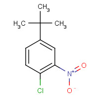 58574-05-3 1-tert-Butyl-3-nitro-4-chlorobenzene chemical structure