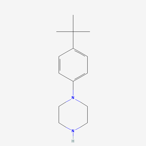 68104-61-0 1-(4-TERT-BUTYLPHENYL)PIPERAZINE chemical structure