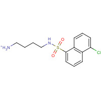 78957-84-3 N-(4-AMINOBUTYL)-5-CHLORO-1-NAPHTHALENESULFONAMIDE HCL chemical structure
