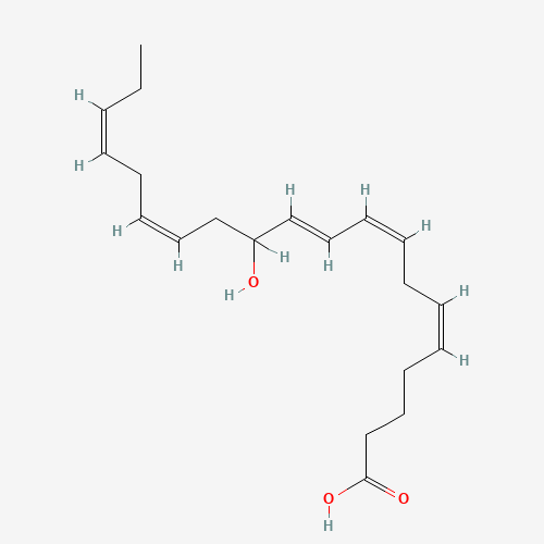 81187-21-5 (+/-)-12-HYDROXY-5Z,8Z,10E,14Z,17Z-EICOSAPENTAENOIC ACID chemical structure