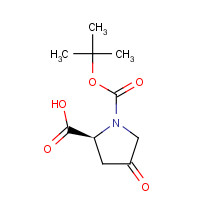 84348-37-8 N-Boc-4-oxo-L-proline chemical structure