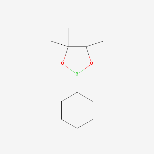 87100-15-0 Cyclohexylboronic acid pinacol ester chemical structure
