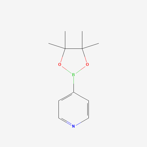 181219-01-2 4-Pyridineboronic acid pinacol ester chemical structure