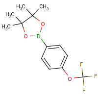 474709-28-9 4,4,5,5-TETRAMETHYL-2-(4-TRIFLUOROMETHOXYPHENYL)-1,3,2-DIOXABOROLANE chemical structure