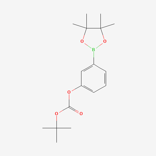 480438-74-2 TERT-BUTYL-3-(4,4,5,5-TETRAMETHYL-1,3,2-DIOXABOROLAN-2-YL)PHENYL CARBONATE chemical structure