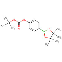 480438-75-3 TERT-BUTYL-4-(4,4,5,5-TETRAMETHYL-1,3,2-DIOXABOROLAN-2-YL)PHENYLCARBONATE chemical structure