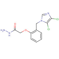 514803-20-4 2-[2-[(4,5-DICHLORO-1H-IMIDAZOL-1-YL)METHYL]PHENOXY]ETHANOHYDRAZIDE chemical structure